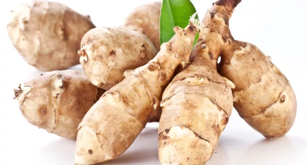 Quels légumes perpétuels avoir dans son jardin? Le topinambour