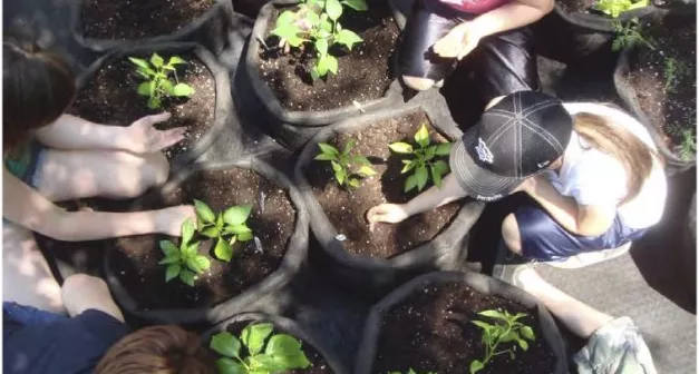 3-Comment planifier un jardin éducatif - Craque Bitume - Last Guide copie.jpg (83.19 Ko)