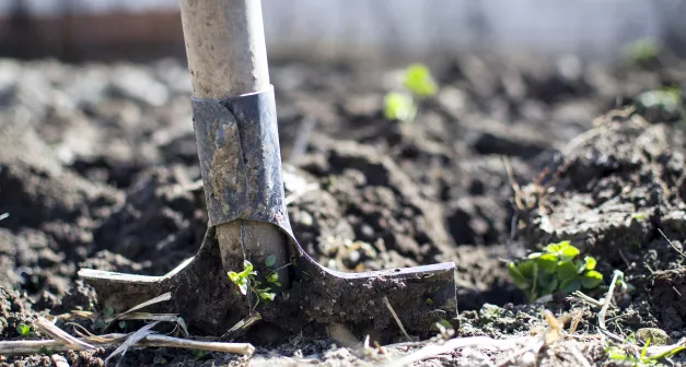 Comment .... Last Guide Crédit photo_ Goumbik by Pixabay .jpg 