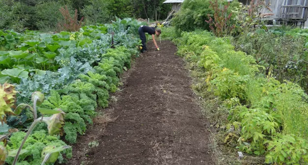 Comment .... Last Guide Crédit photo_ Pierre Gilbert by Pixabay .jpg 