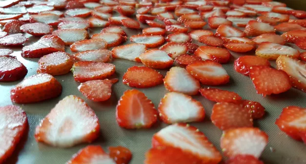 Comment sécher des fruits et des légumes? Last Guide