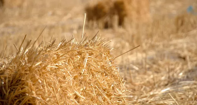 Comment construire une maison avec une isolation en paille solutionera.jpg (106.63 Ko) 