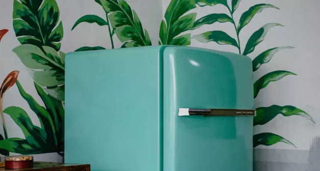 Comment créer une chambre froide dans votre habitat une réfrigération écologique solutionera.jpg (80.21 Ko)