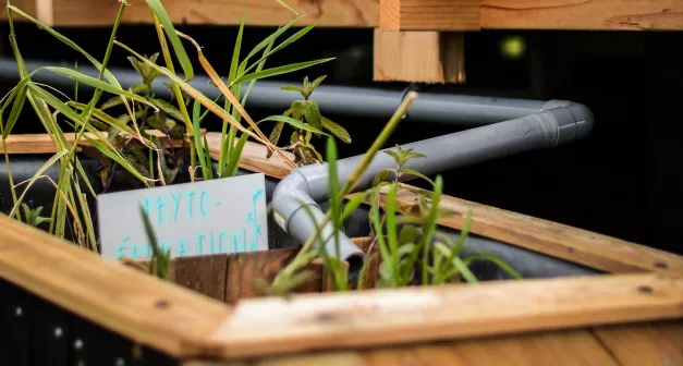 Comment filtrer et assainir des eaux polluées par la phytoépuration? Last Guide