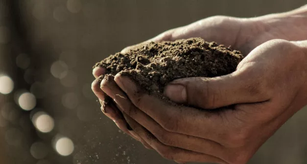 Comment renforcer son système immunitaire naturellement solutionera.jpg (74.43 Ko) 