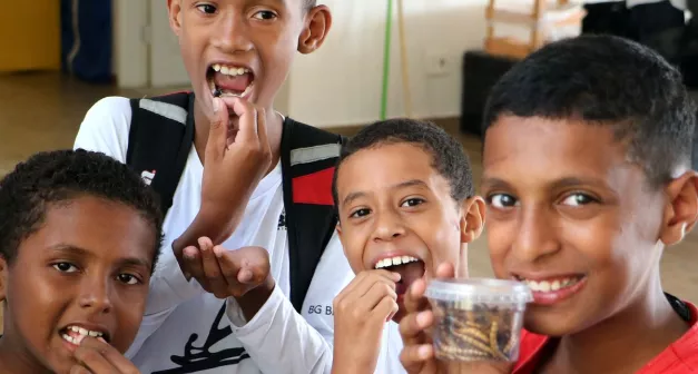 Comment élever des vers de farine Low Tech Lab.jpeg (119.27 Ko) 