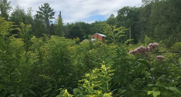 Comment devenir autonome en eau à travers la récupération d’eau de pluie solutionera.jpg (379.06 Ko)