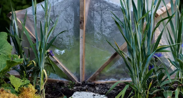 Comment fabriquer une mini serre pliante Chemin de faire26.jpeg (709.56 Ko)