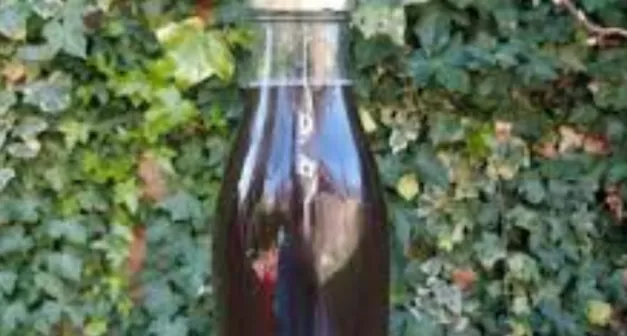 Comment faire de la lessive à base de lierre-LastGuide1.png 