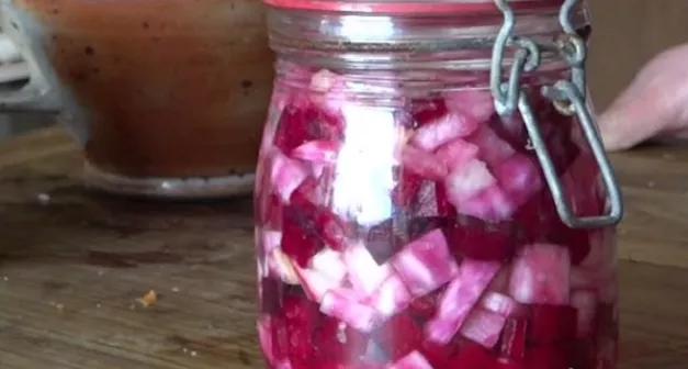 Comment faire des conserves lactofermentées-LastGuide1.jpeg 