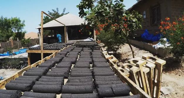 Comment faire du bio charbon-LastGuide1.jpeg