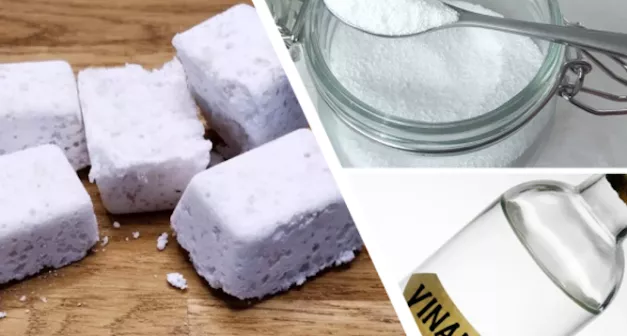 Comment faire un nettoyant à canalisation et à toilette-LastGuide1.png 