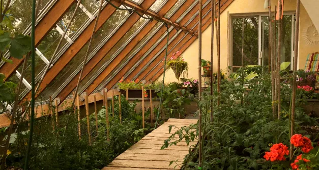 Comment parvenir à l'autonomie alimentaire avec les 4 saisons solutionera.jpg (784.53 Ko) 