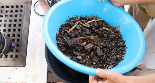 Comment produire un engrais organique Low-tech.jpeg (1.14 Mo)