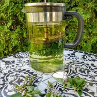 Comment préparer une infusion?