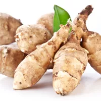 Quels légumes perpétuels avoir dans son jardin? Le topinambour