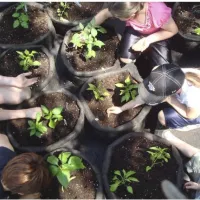 3-Comment planifier un jardin éducatif - Craque Bitume - Last Guide copie.jpg (83.19 Ko)