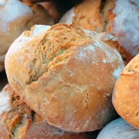 Comment créer du levain pour faire du pain Last Guide 