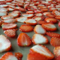 Comment sécher des fruits et des légumes? Last Guide