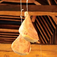 Quels sont les 5 techniques de séchage des aliments? Last Guide