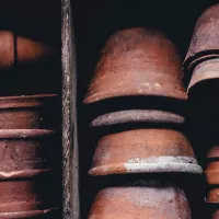 Comment conserver plus longtemps vos fruits et légumes solutionera.jpg (86 Ko)