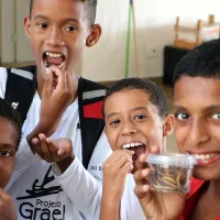 Comment élever des vers de farine Low Tech Lab.jpeg (119.27 Ko) 