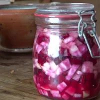 Comment faire des conserves lactofermentées-LastGuide1.jpeg 