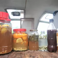 Comment faire son soda au citron -LastGuide1.jpeg 