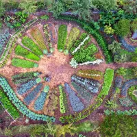 Comment favoriser l'autosuffisance alimentaire à l'aide de la permaculture solutionera.jpg (265.5 Ko)